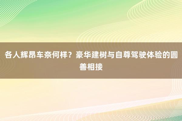 各人辉昂车奈何样？豪华建树与自尊驾驶体验的圆善相接