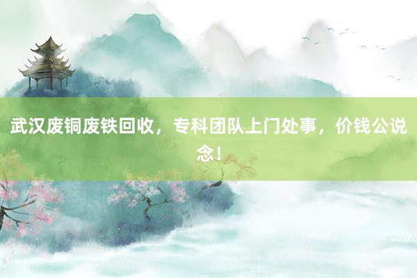 武汉废铜废铁回收，专科团队上门处事，价钱公说念！