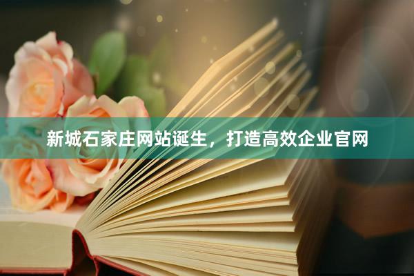 新城石家庄网站诞生，打造高效企业官网