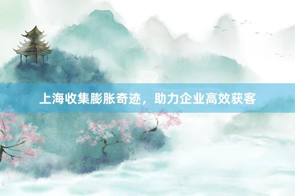上海收集膨胀奇迹，助力企业高效获客